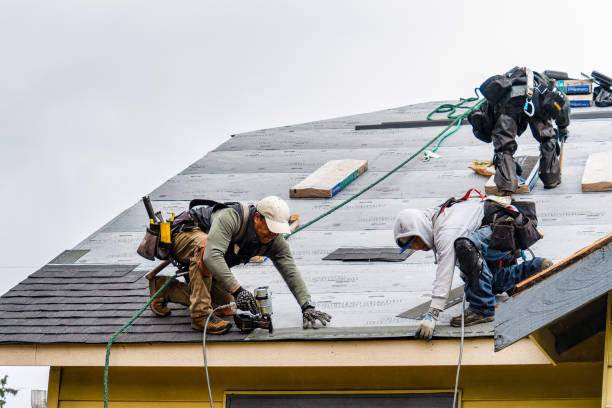 Professional Roofing technician working in Ferndale, CA